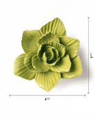 EG33 Chartreuse Gladiolus - Chive UK Wholesale