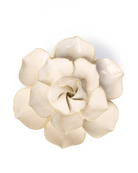 EG34 Ivory Daffodil - Chive UK Wholesale