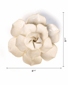 EG34 Ivory Daffodil - Chive UK Wholesale