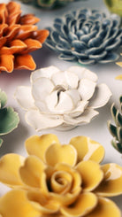 EG34 Ivory Daffodil - Chive UK Wholesale