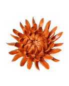 EG35 Orange Sarah Mum - Chive UK Wholesale