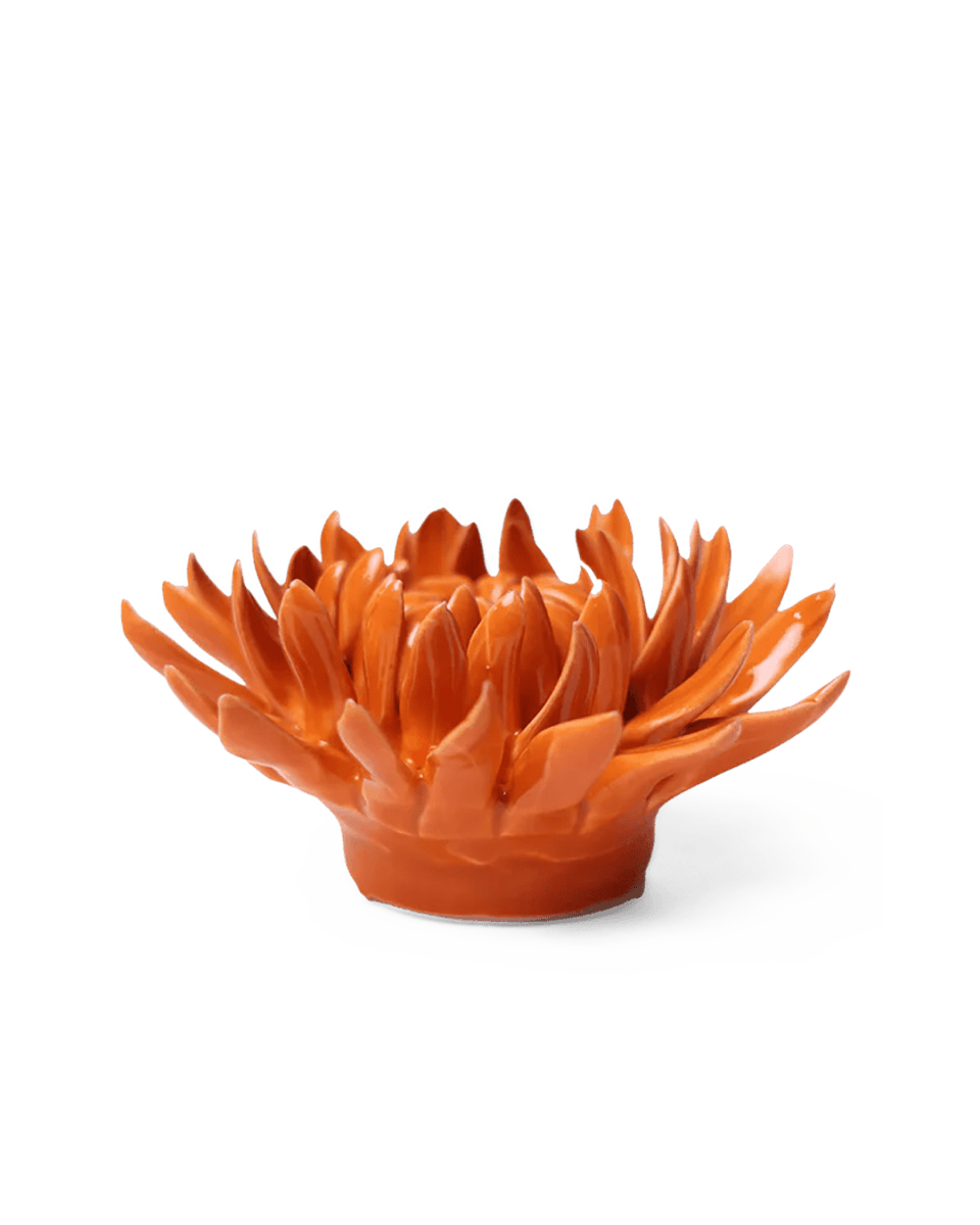 EG35 Orange Sarah Mum - Chive UK Wholesale