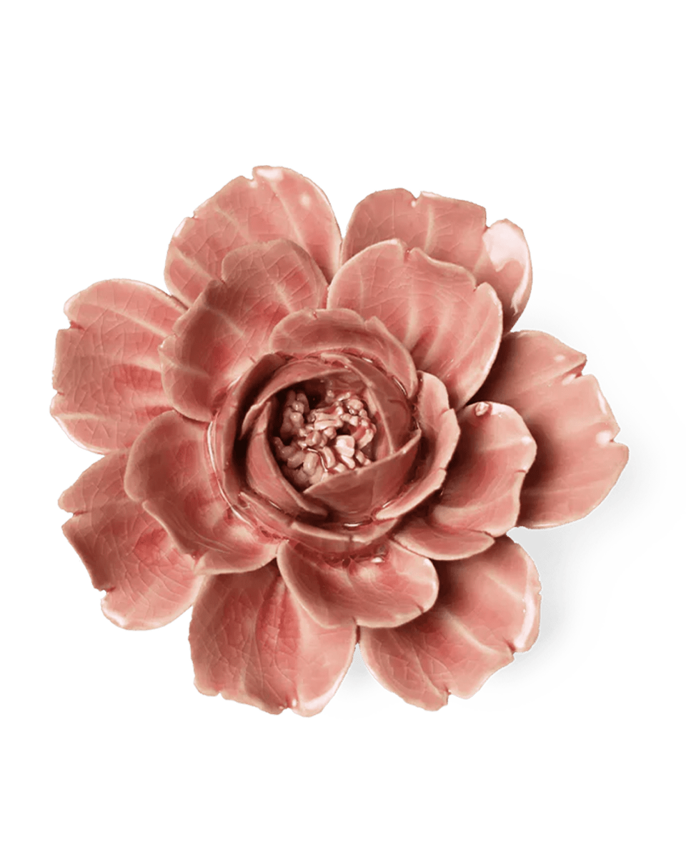 EG37 Champagne Pink Rose - Chive UK Wholesale