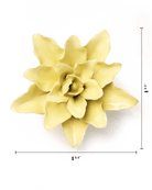 English Garden Lime Yellow Tiger Lily - Chive UK Wholesale