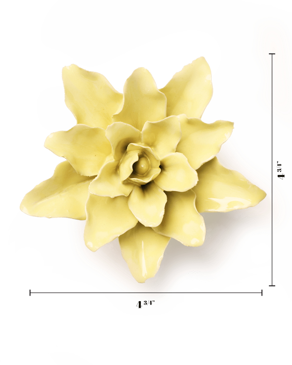English Garden Lime Yellow Tiger Lily - Chive UK Wholesale
