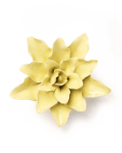 EG39 Lime Yellow Tiger Lily - Chive UK Wholesale