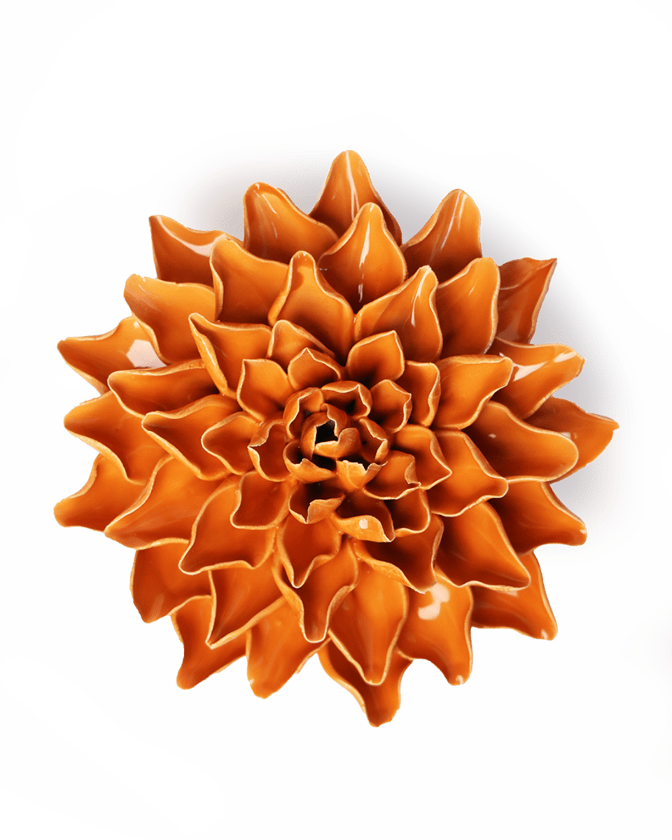 EG40 Orange Autumn Azalea - Chive UK Wholesale