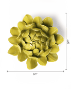 English Garden Chartreuse Sugarbush Protea - Chive UK Wholesale