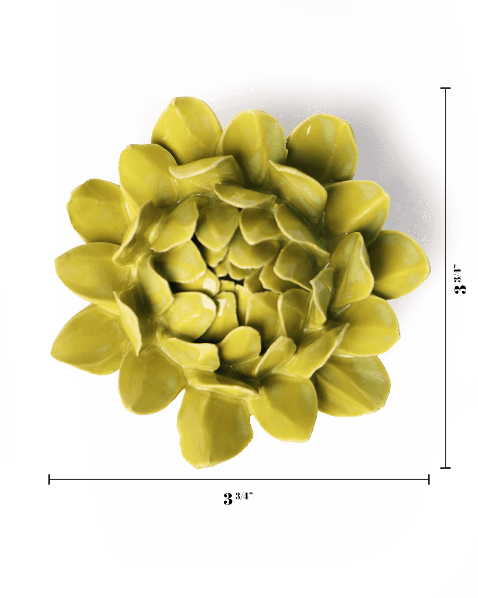 English Garden Chartreuse Sugarbush Protea - Chive UK Wholesale