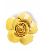 EG42 Buttercup Yellow Elegance Ranunculus - Chive UK Wholesale