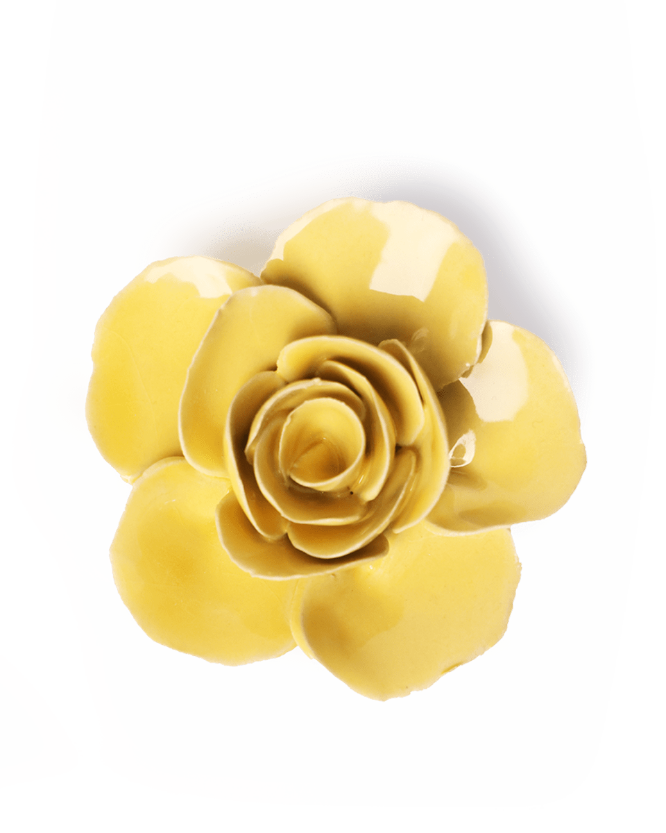 EG42 Buttercup Yellow Elegance Ranunculus - Chive UK Wholesale