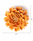 English Garden Orange Fiesta Marigold - Chive UK Wholesale