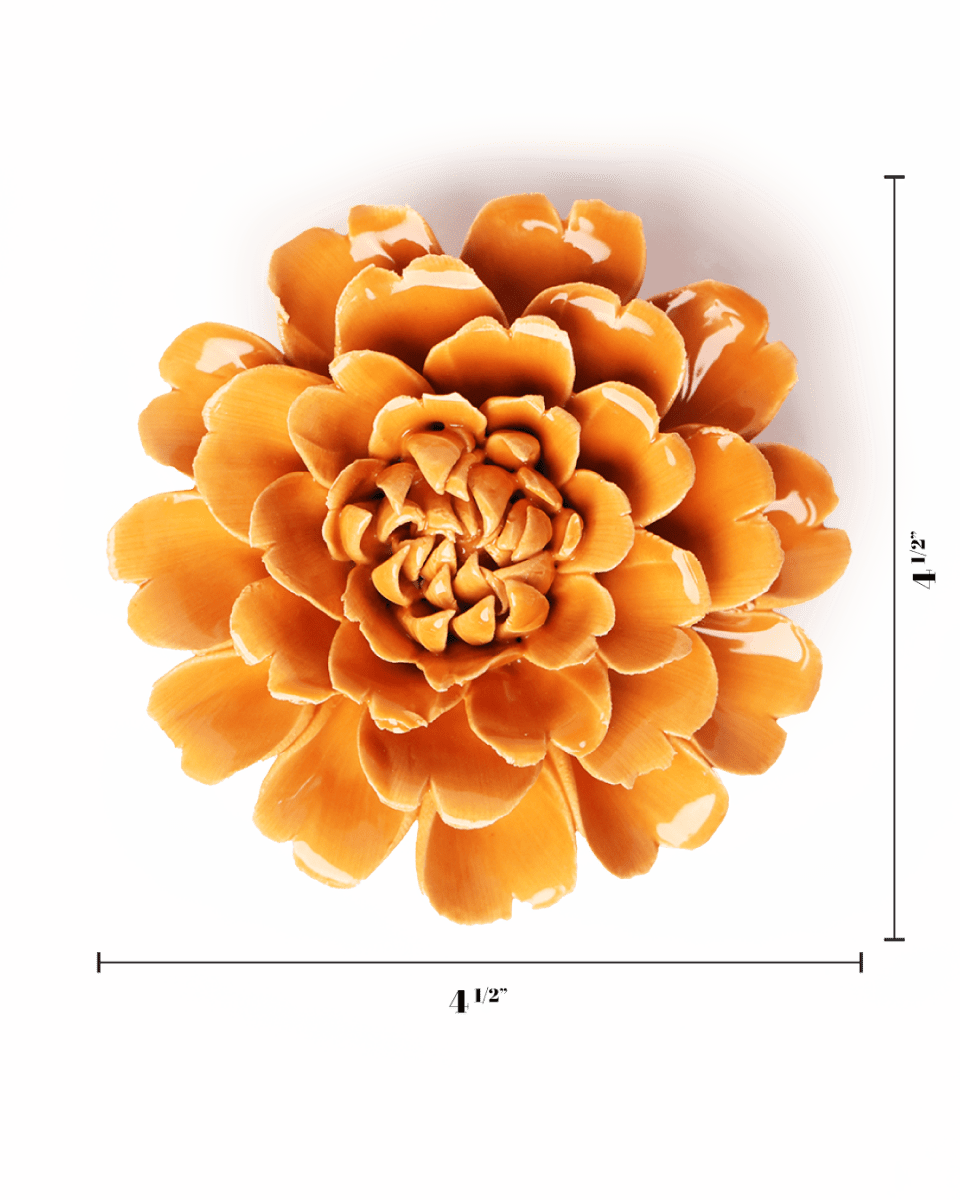 English Garden Orange Fiesta Marigold - Chive UK Wholesale