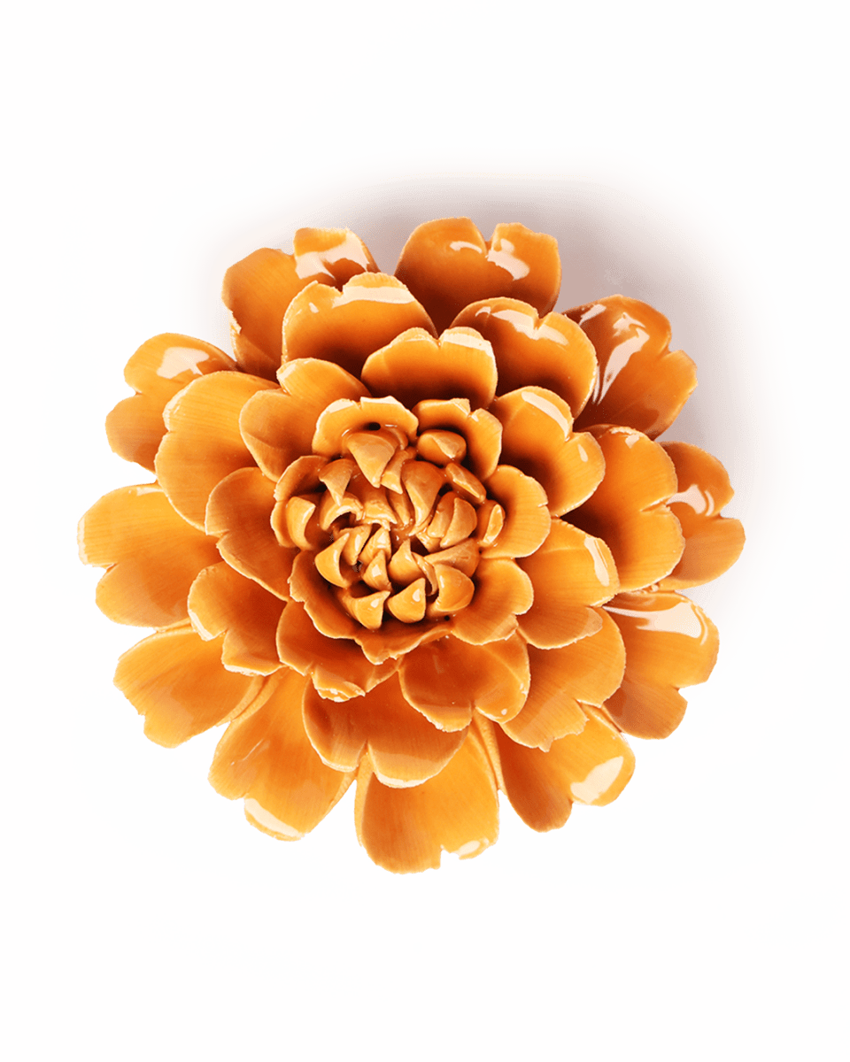 EG44 Orange Fiesta Marigold - Chive UK Wholesale