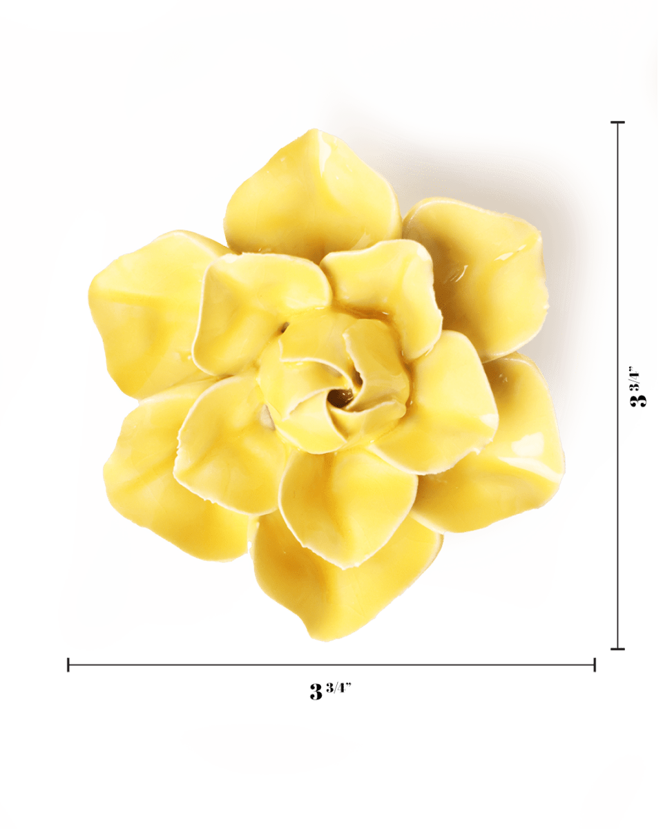 English Garden Buttercup Yellow Daffodil - Chive UK Wholesale