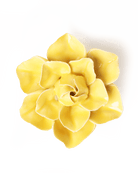 EG45 Buttercup Yellow Daffodil - Chive UK Wholesale