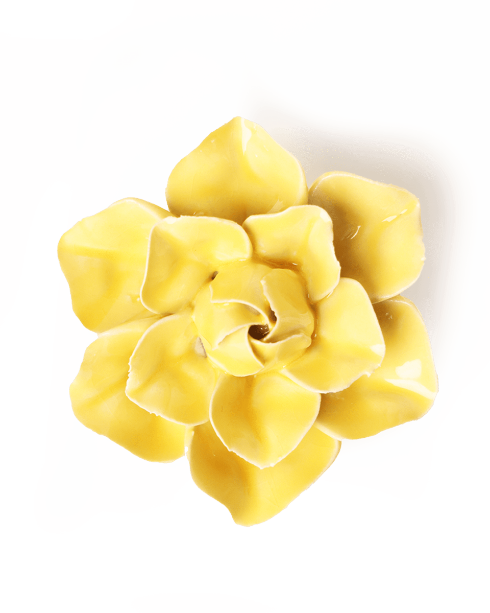 EG45 Buttercup Yellow Daffodil - Chive UK Wholesale