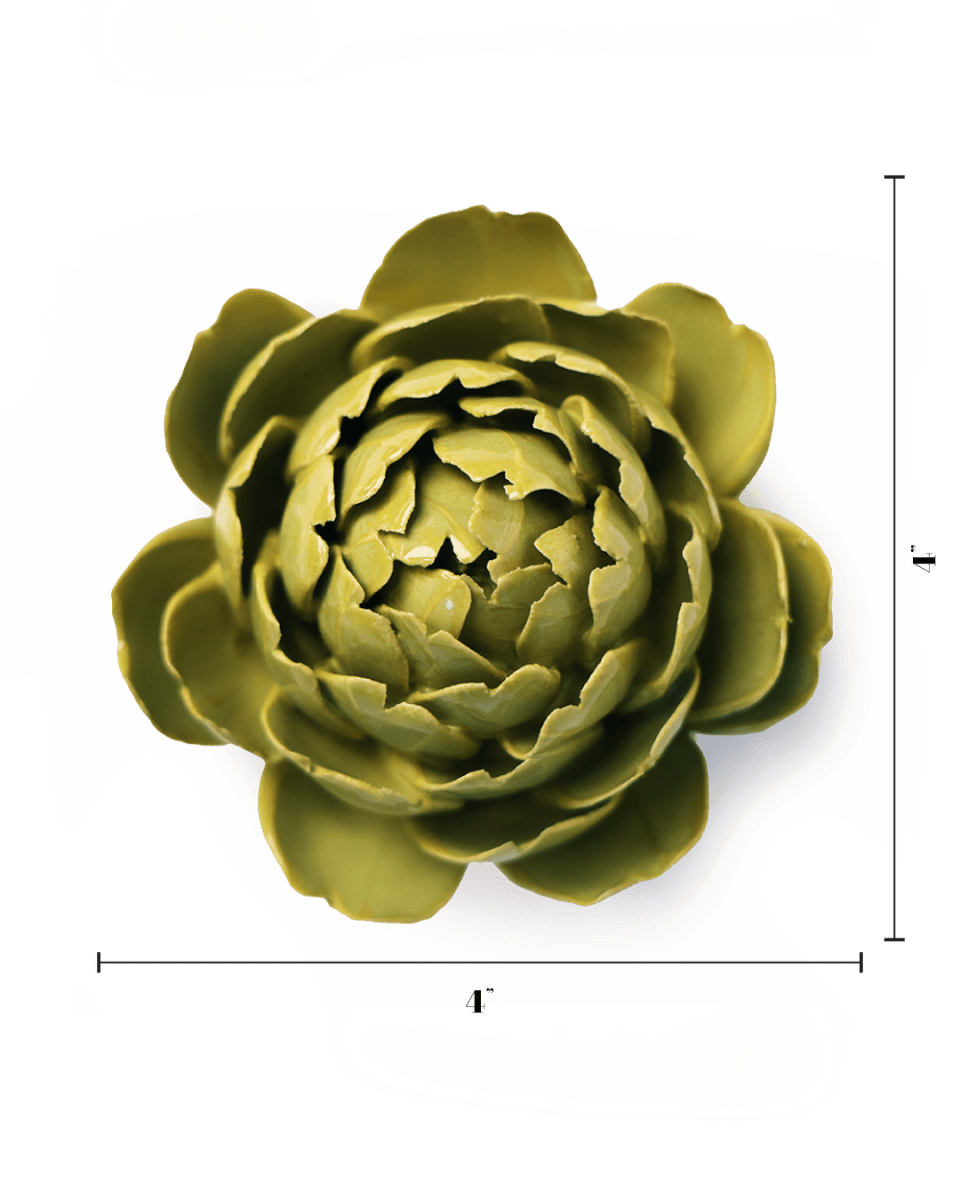 English Garden Chartreuse Queen Protea - Chive UK Wholesale