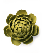 EG46 Chartreuse Queen Protea - Chive UK Wholesale