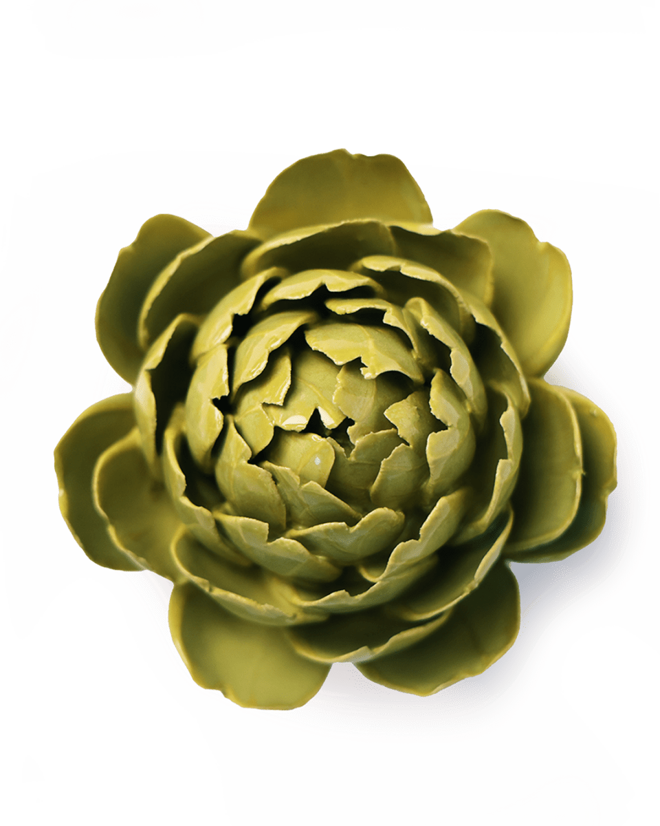 EG46 Chartreuse Queen Protea - Chive UK Wholesale