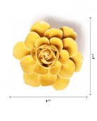 English Garden Burnt Yellow Begonia - Chive UK Wholesale