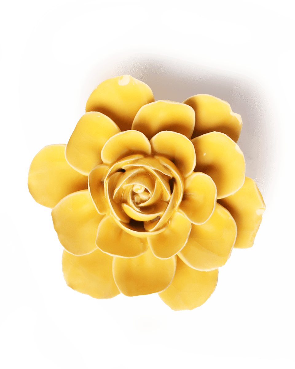 EG47 Burnt Yellow Begonia - Chive UK Wholesale