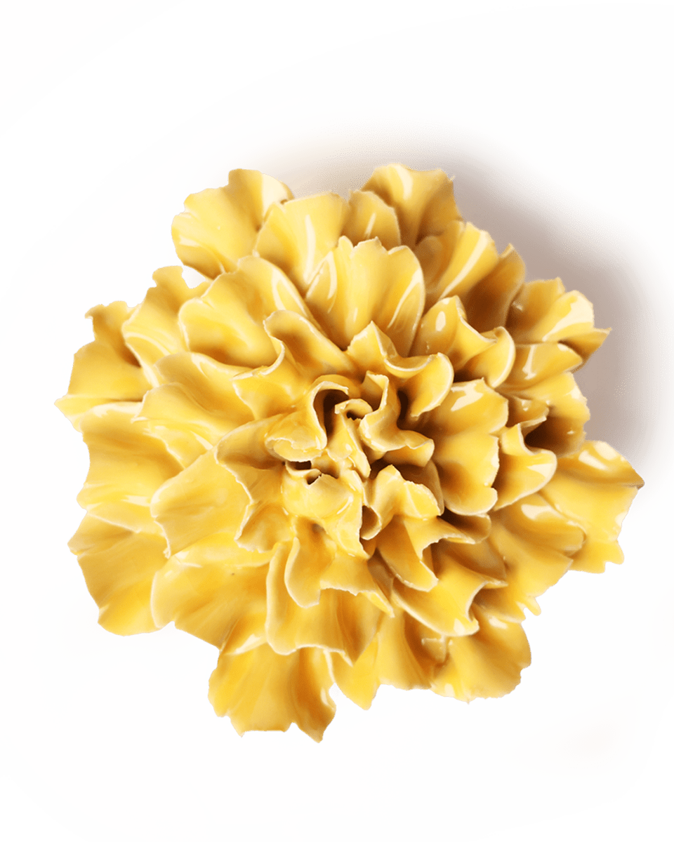 EG48 Burnt Yellow Tundra Carnation - Chive UK Wholesale