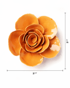 English Garden Orange Elegance Ranunculus - Chive UK Wholesale