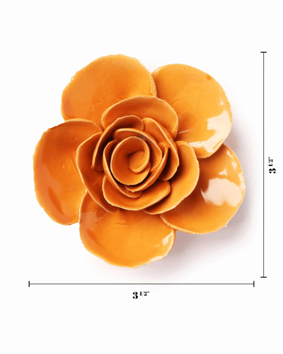 English Garden Orange Elegance Ranunculus - Chive UK Wholesale