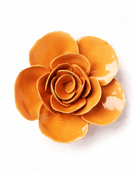 EG49 Orange Elegance Ranunculus - Chive UK Wholesale