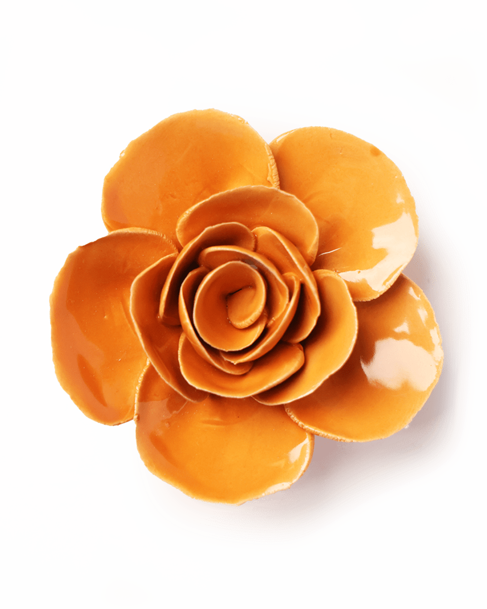 EG49 Orange Elegance Ranunculus - Chive UK Wholesale