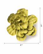 English Garden Chartreuse Primrose - Chive UK Wholesale