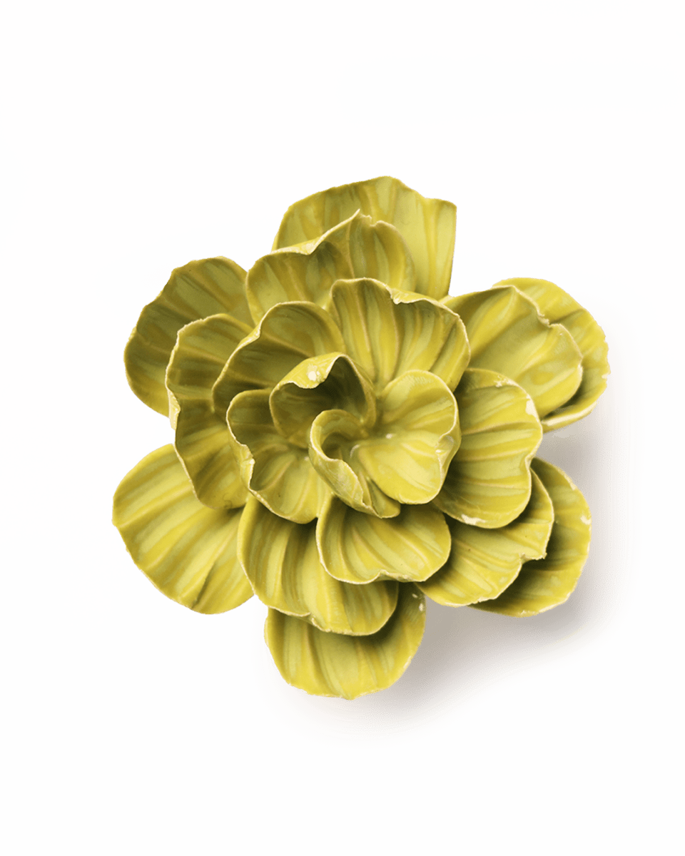 EG50 Chartreuse Primrose - Chive UK Wholesale