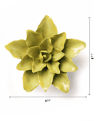 English Garden Chartreuse Tiger Lily - Chive UK Wholesale