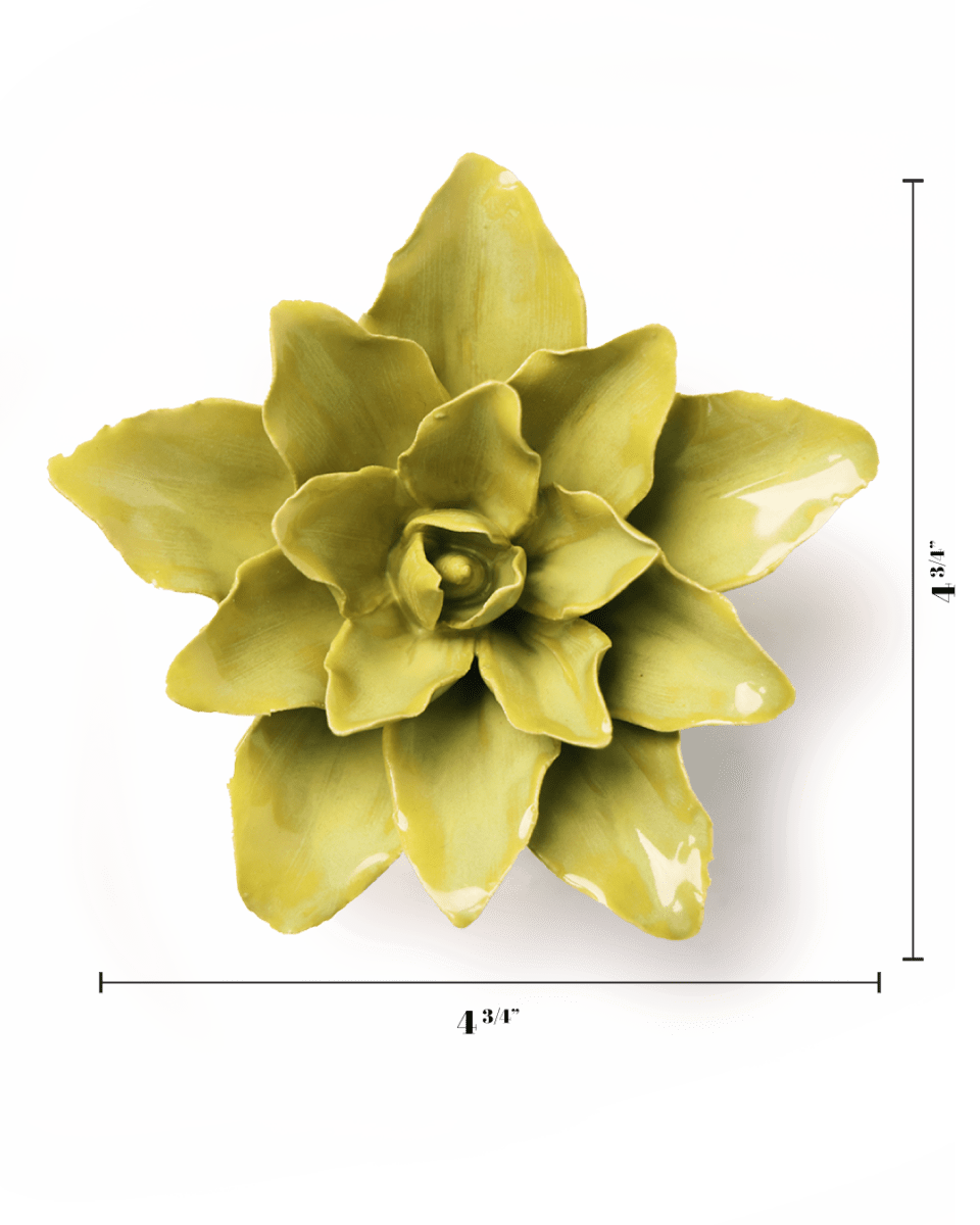 English Garden Chartreuse Tiger Lily - Chive UK Wholesale
