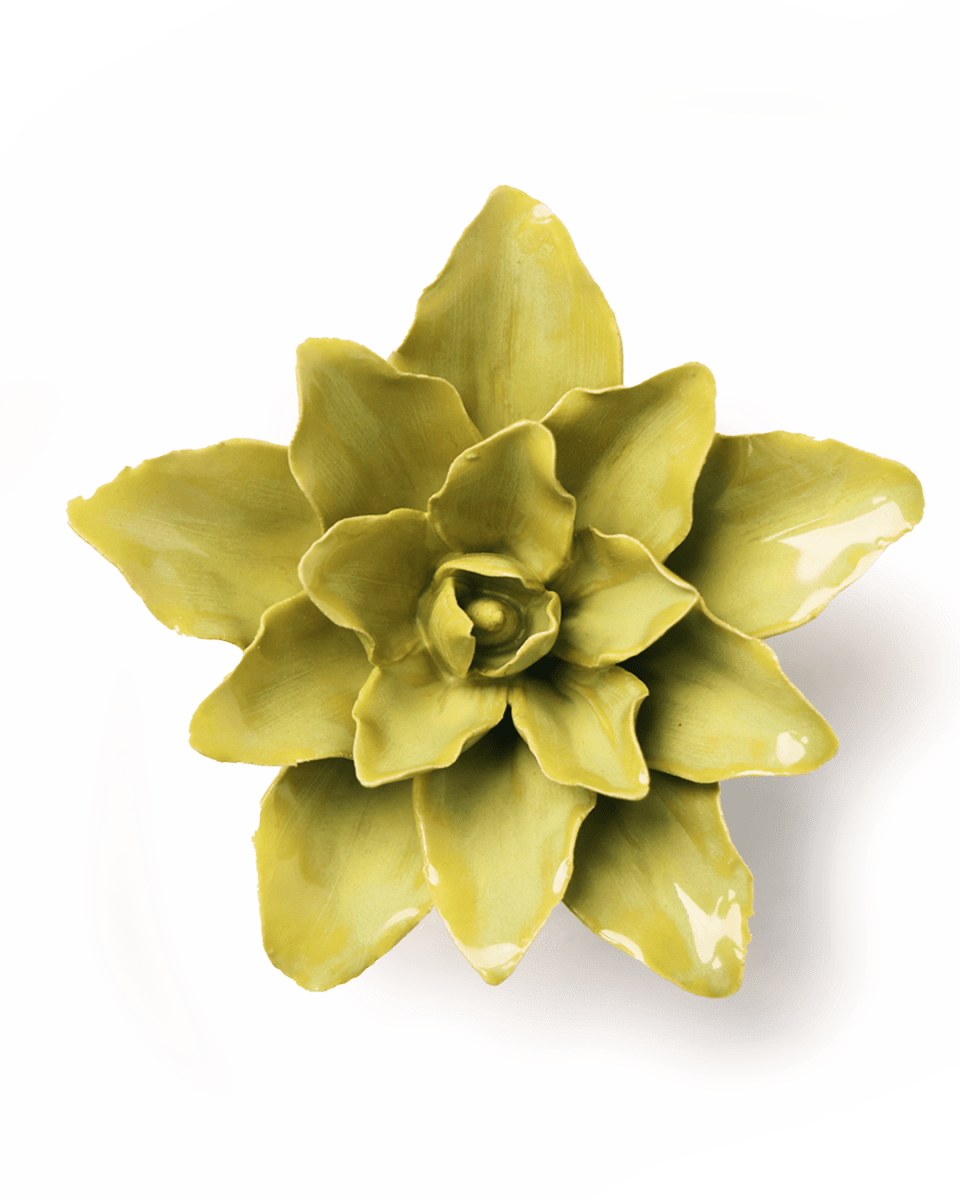 EG51 Chartreuse Tiger Lily - Chive UK Wholesale
