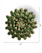 English Garden Jungle Green Pompom Mum - Chive UK Wholesale
