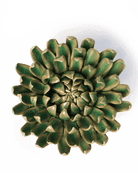 EG52 Jungle Green Pompom Mum - Chive UK Wholesale