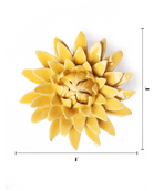 English Garden Burnt Yellow Strawflower - Chive UK Wholesale