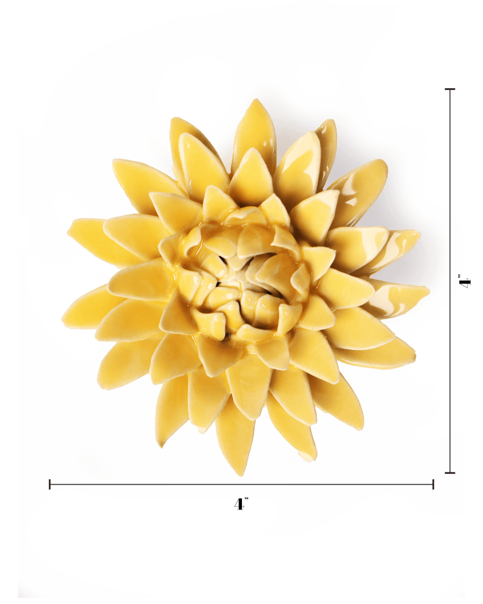 English Garden Burnt Yellow Strawflower - Chive UK Wholesale
