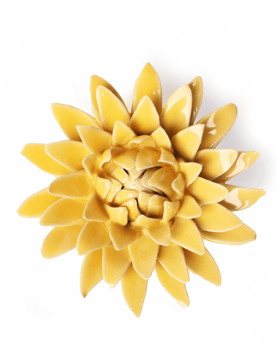 EG53 Burnt Yellow Strawflower - Chive UK Wholesale
