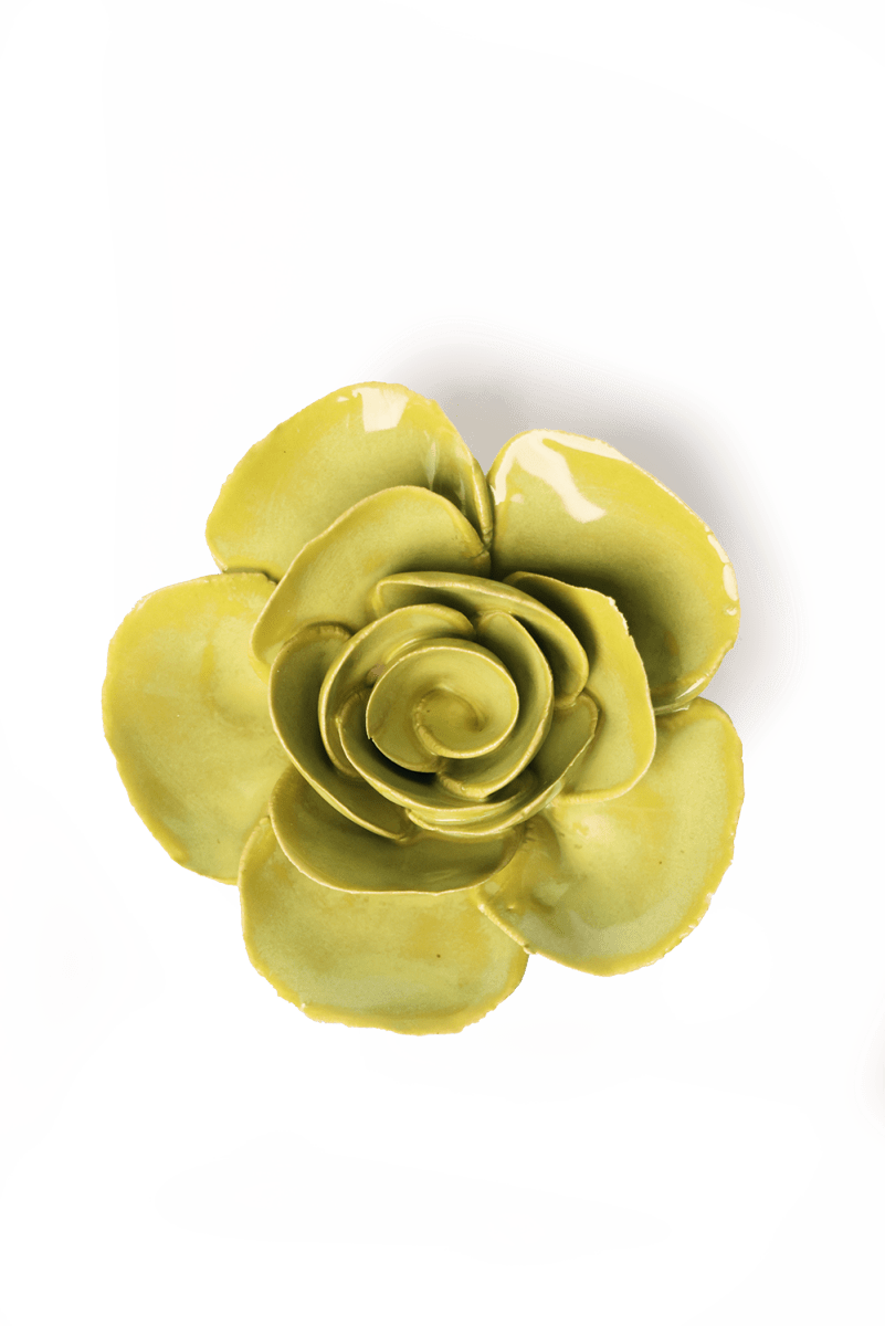 English Garden Curated Collection 23 - Chive UK Wholesale