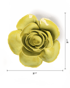 English Garden Chartreuse Elegance Ranunculus - Chive UK Wholesale