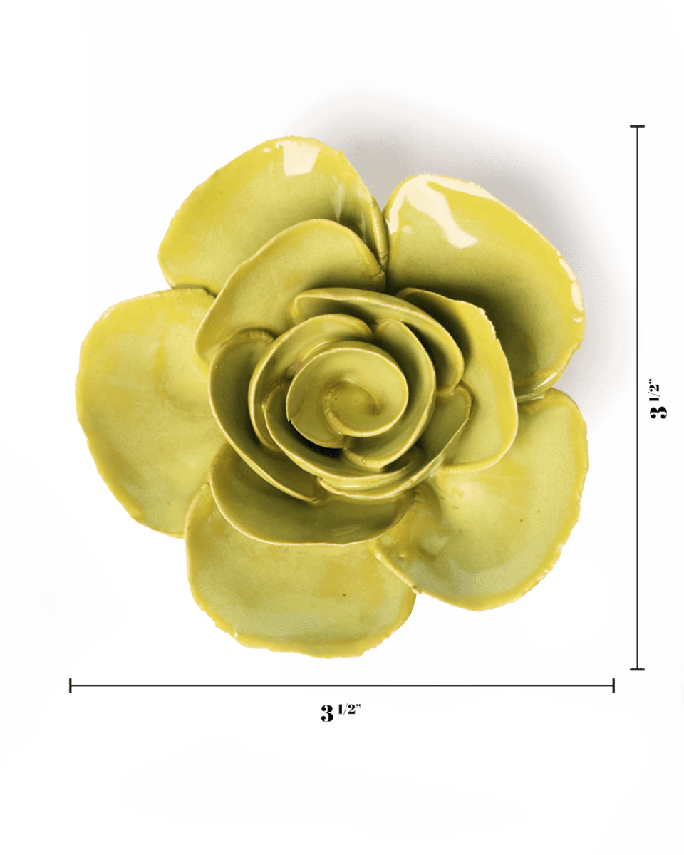 English Garden Chartreuse Elegance Ranunculus - Chive UK Wholesale