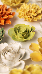 EG54 Chartreuse Elegance Ranunculus - Chive UK Wholesale