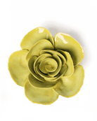 EG54 Chartreuse Elegance Ranunculus - Chive UK Wholesale