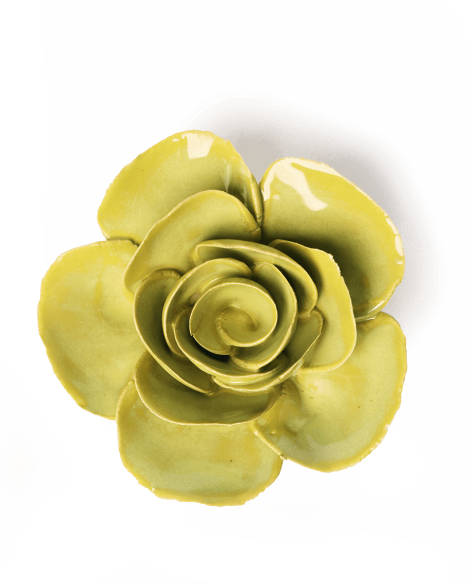 EG54 Chartreuse Elegance Ranunculus - Chive UK Wholesale