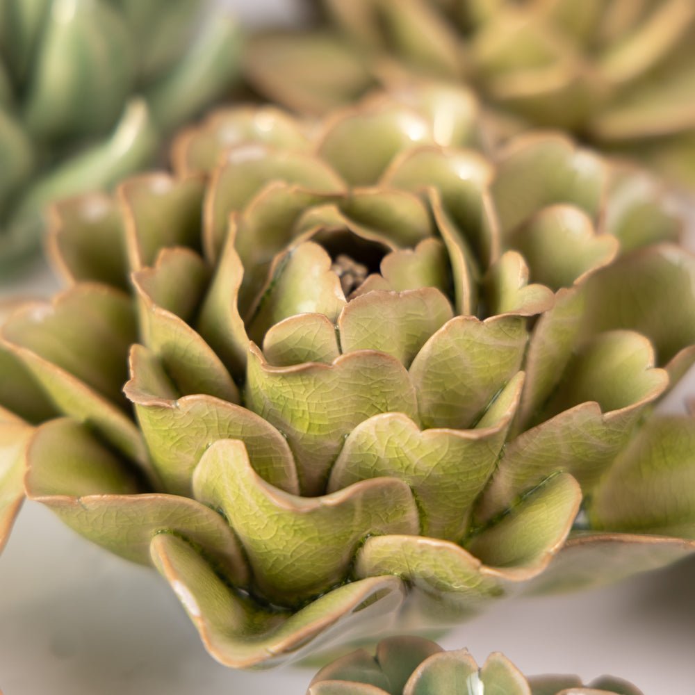 Ceramic Flower English Garden Curated Collection #10 - Chive UK Wholesale