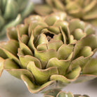 Ceramic Flower English Garden Curated Collection #10 - Chive UK Wholesale