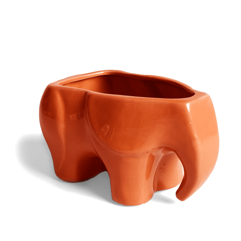 Elephant Ceramic Indoor Plant Pot Kit - Chive UK Wholesale